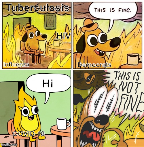 Tuberculosis Democrats Influenza HIV Hi COVID-19 | image tagged in memes,this is fine | made w/ Imgflip meme maker