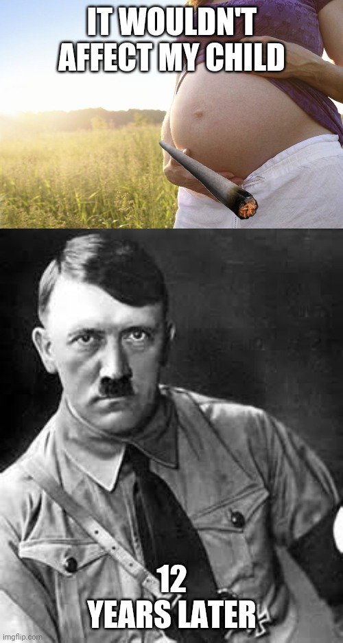 Hitler | IT WOULDN'T AFFECT MY CHILD; 12 YEARS LATER | image tagged in adolf hitler,pregnant woman | made w/ Imgflip meme maker
