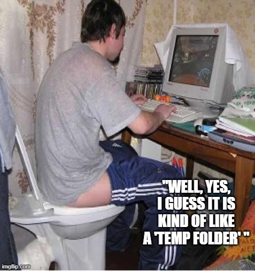 dBase-ing oneself | "WELL, YES, I GUESS IT IS KIND OF LIKE A 'TEMP FOLDER' " | image tagged in toilet computer,pc,microsoft | made w/ Imgflip meme maker