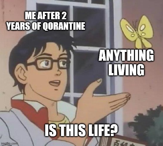 Is This A Pigeon | ME AFTER 2 YEARS OF QORANTINE; ANYTHING LIVING; IS THIS LIFE? | image tagged in memes,is this a pigeon | made w/ Imgflip meme maker