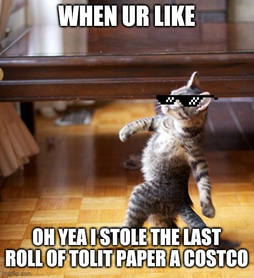 Cat Walking Like A Boss | WHEN UR LIKE; OH YEA I STOLE THE LAST ROLL OF TOLIT PAPER A COSTCO | image tagged in cat walking like a boss | made w/ Imgflip meme maker