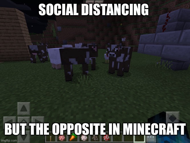 Social distance stupid animals | SOCIAL DISTANCING; BUT THE OPPOSITE IN MINECRAFT | image tagged in social distancing | made w/ Imgflip meme maker