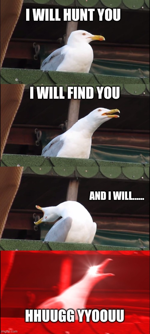 Inhaling Seagull Meme | I WILL HUNT YOU; I WILL FIND YOU; AND I WILL...... HHUUGG YYOOUU | image tagged in memes,inhaling seagull | made w/ Imgflip meme maker