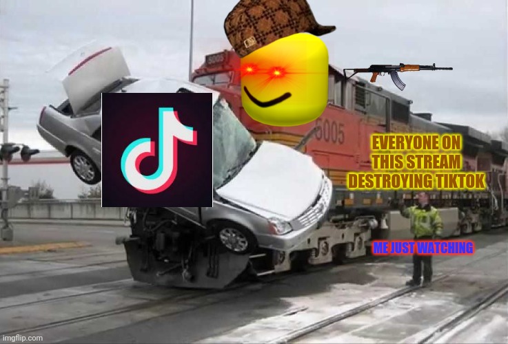 Train hitting car | EVERYONE ON THIS STREAM DESTROYING TIKTOK; ME JUST WATCHING | image tagged in train hitting car | made w/ Imgflip meme maker