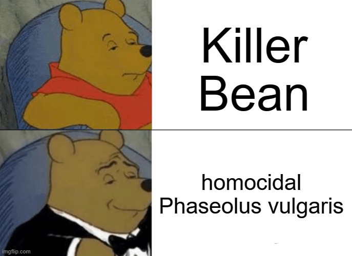 Phaseolus vulgaris is the scientific name for bean, and im not lying. | Killer Bean; homocidal Phaseolus vulgaris | image tagged in memes,tuxedo winnie the pooh | made w/ Imgflip meme maker