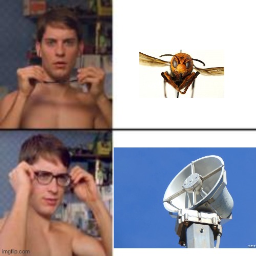 The Murder Hornet looks like a whelen siren | image tagged in peter parker glasses,tornado siren,murder hornet | made w/ Imgflip meme maker