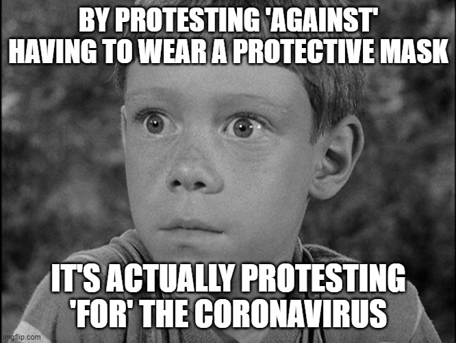 You don't realize | BY PROTESTING 'AGAINST' HAVING TO WEAR A PROTECTIVE MASK; IT'S ACTUALLY PROTESTING 'FOR' THE CORONAVIRUS | image tagged in coronavirus | made w/ Imgflip meme maker