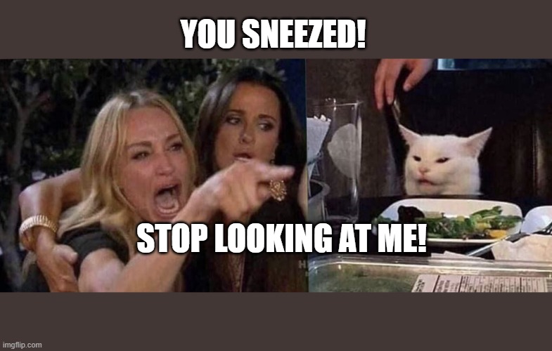 Hi, Corona... | YOU SNEEZED! STOP LOOKING AT ME! | image tagged in woman yelling at cat | made w/ Imgflip meme maker