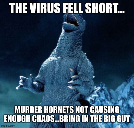 Laughing Godzilla | THE VIRUS FELL SHORT... MURDER HORNETS NOT CAUSING ENOUGH CHAOS...BRING IN THE BIG GUY | image tagged in laughing godzilla | made w/ Imgflip meme maker