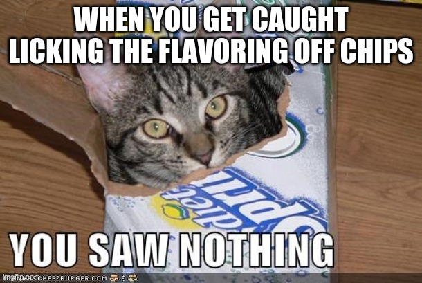 WHEN YOU GET CAUGHT LICKING THE FLAVORING OFF CHIPS | image tagged in funny cat memes | made w/ Imgflip meme maker