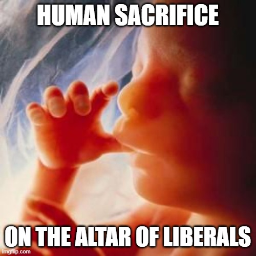 Fetus | HUMAN SACRIFICE ON THE ALTAR OF LIBERALS | image tagged in fetus | made w/ Imgflip meme maker