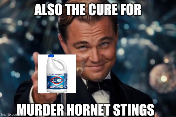 Leonardo Dicaprio Cheers Meme | ALSO THE CURE FOR; MURDER HORNET STINGS | image tagged in memes,leonardo dicaprio cheers | made w/ Imgflip meme maker