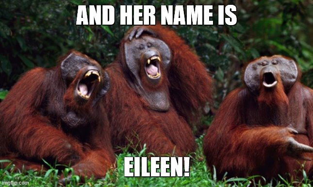 laughing monkey | AND HER NAME IS EILEEN! | image tagged in laughing monkey | made w/ Imgflip meme maker