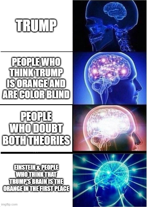 Expanding Brain | TRUMP; PEOPLE WHO THINK TRUMP IS ORANGE AND ARE COLOR BLIND; PEOPLE WHO DOUBT BOTH THEORIES; EINSTEIN & PEOPLE WHO THINK THAT TRUMP'S BRAIN IS THE ORANGE IN THE FIRST PLACE | image tagged in memes,expanding brain | made w/ Imgflip meme maker