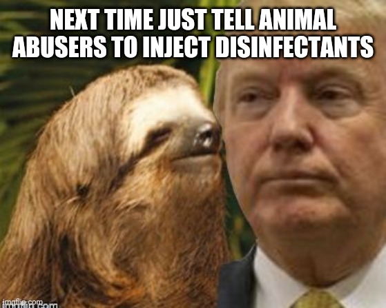 Political advice sloth | NEXT TIME JUST TELL ANIMAL ABUSERS TO INJECT DISINFECTANTS | image tagged in political advice sloth | made w/ Imgflip meme maker