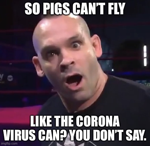 Ya don’t say? | SO PIGS CAN’T FLY; LIKE THE CORONA VIRUS CAN? YOU DON’T SAY. | image tagged in ya dont say | made w/ Imgflip meme maker