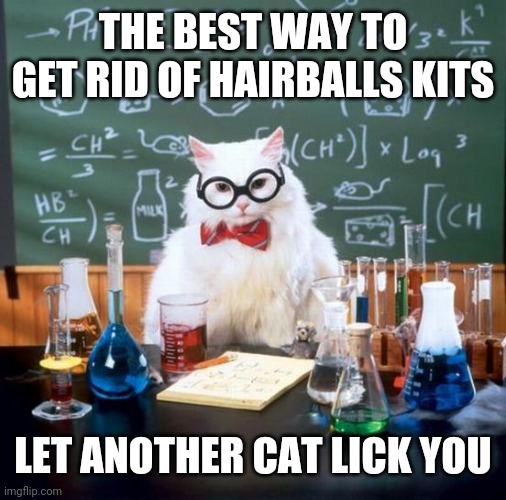 Chemistry Cat | THE BEST WAY TO GET RID OF HAIRBALLS KITS; LET ANOTHER CAT LICK YOU | image tagged in memes,chemistry cat | made w/ Imgflip meme maker