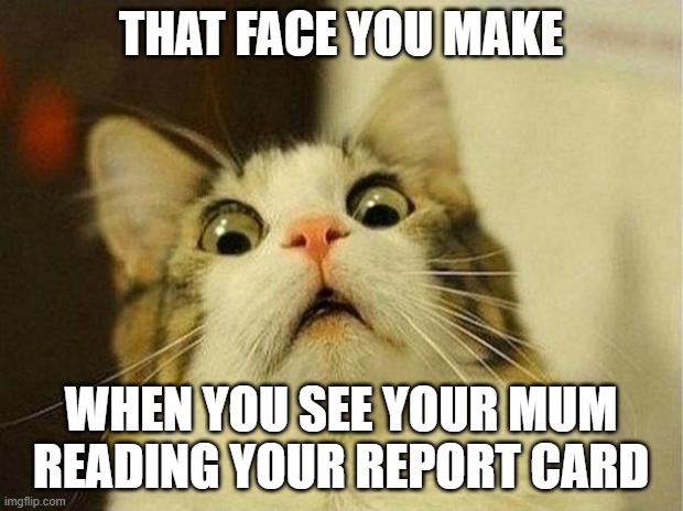 Scared Cat Meme | THAT FACE YOU MAKE; WHEN YOU SEE YOUR MUM READING YOUR REPORT CARD | image tagged in memes,scared cat | made w/ Imgflip meme maker