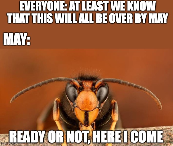 this is a murder hornet | EVERYONE: AT LEAST WE KNOW THAT THIS WILL ALL BE OVER BY MAY; MAY:; READY OR NOT, HERE I COME | image tagged in murder hornet | made w/ Imgflip meme maker