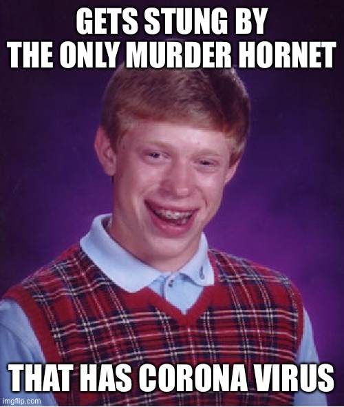 Bad Luck Brian Meme | GETS STUNG BY THE ONLY MURDER HORNET THAT HAS CORONA VIRUS | image tagged in memes,bad luck brian | made w/ Imgflip meme maker