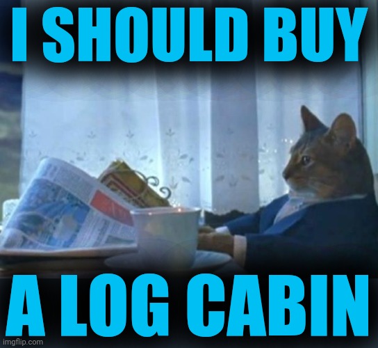 Investment cat newspaper | I SHOULD BUY A LOG CABIN | image tagged in investment cat newspaper | made w/ Imgflip meme maker