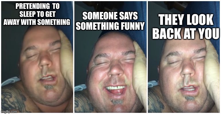 Lol new meme template??? | PRETENDING  TO SLEEP TO GET AWAY WITH SOMETHING; SOMEONE SAYS SOMETHING FUNNY; THEY LOOK BACK AT YOU | image tagged in sleep,pretend | made w/ Imgflip meme maker