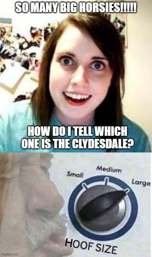 SO MANY BIG HORSIES!!!!! HOW DO I TELL WHICH ONE IS THE CLYDESDALE? H | image tagged in crazy girlfriend,oof size large | made w/ Imgflip meme maker