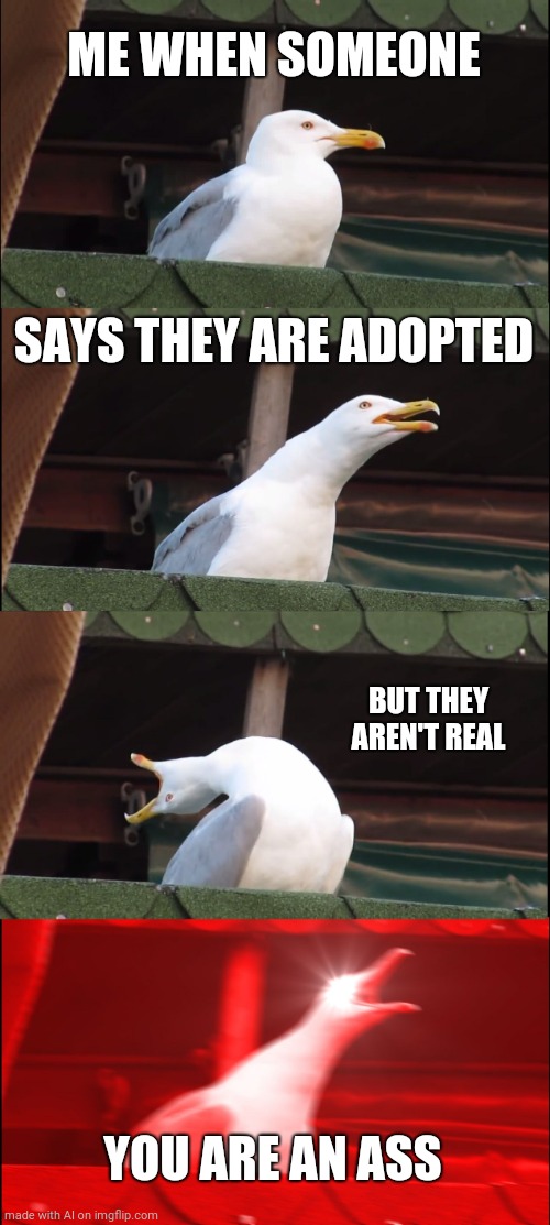 Inhaling Seagull Meme | ME WHEN SOMEONE; SAYS THEY ARE ADOPTED; BUT THEY AREN'T REAL; YOU ARE AN ASS | image tagged in memes,inhaling seagull | made w/ Imgflip meme maker