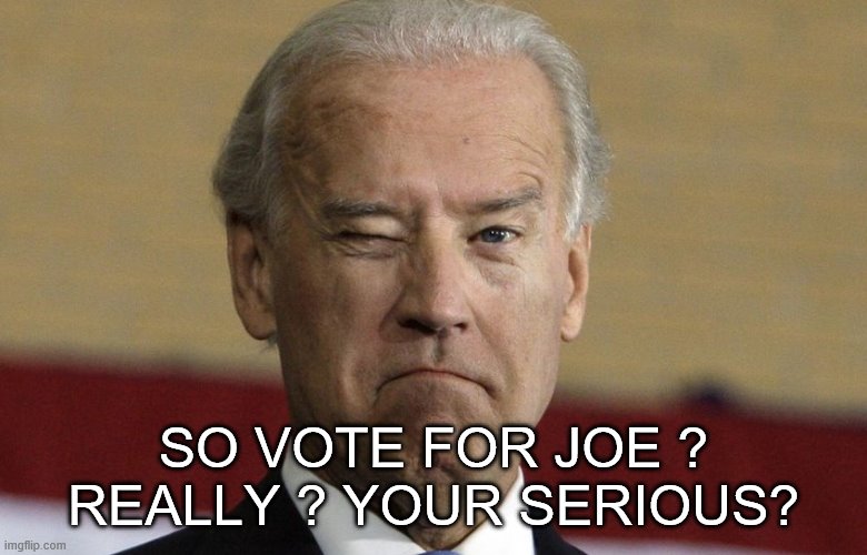 SO VOTE FOR JOE ?
REALLY ? YOUR SERIOUS? | made w/ Imgflip meme maker