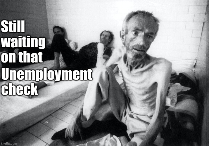 Unemployment | Still waiting 
on that; Unemployment 
check | image tagged in political meme,starving,coronavirus meme,unemployment | made w/ Imgflip meme maker