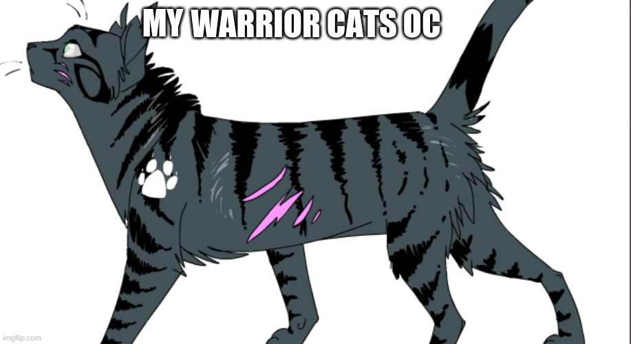 I like him (the oc duh) | MY | image tagged in warrior cats | made w/ Imgflip meme maker