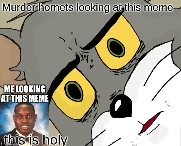 Unsettled Tom Meme | Murder hornets looking at this meme; ME LOOKING AT THIS MEME; this is holy | image tagged in memes,unsettled tom,dank memes,stop reading the tags | made w/ Imgflip meme maker