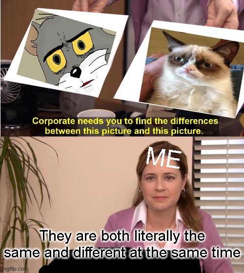 They're The Same Picture Meme | ME; They are both literally the same and different at the same time | image tagged in memes,they're the same picture | made w/ Imgflip meme maker