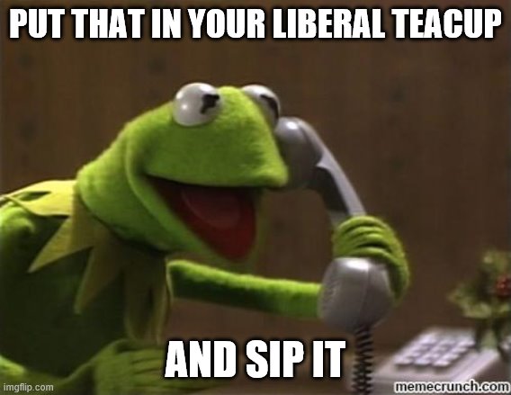 kermit | PUT THAT IN YOUR LIBERAL TEACUP AND SIP IT | image tagged in kermit | made w/ Imgflip meme maker