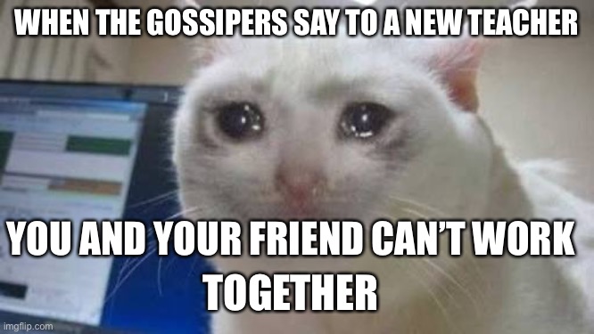 I hate this | WHEN THE GOSSIPERS SAY TO A NEW TEACHER; YOU AND YOUR FRIEND CAN’T WORK; TOGETHER | image tagged in funny,memes,funny memes,covid-19,coronavirus,sad cat | made w/ Imgflip meme maker