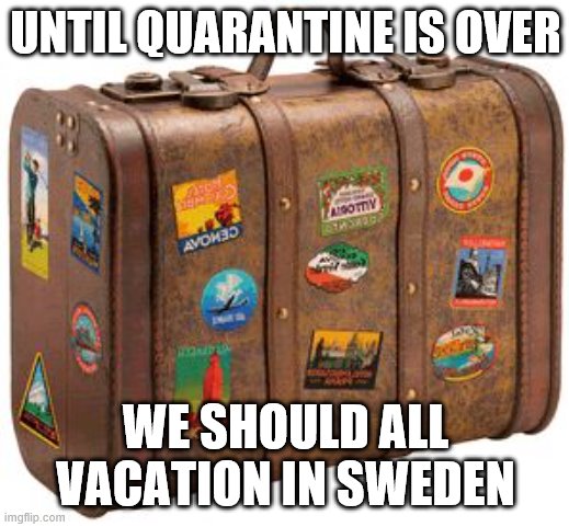 suitcase | UNTIL QUARANTINE IS OVER WE SHOULD ALL VACATION IN SWEDEN | image tagged in suitcase | made w/ Imgflip meme maker
