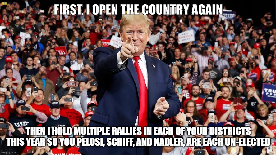 Trump 2020 | FIRST, I OPEN THE COUNTRY AGAIN; THEN I HOLD MULTIPLE RALLIES IN EACH OF YOUR DISTRICTS THIS YEAR SO YOU PELOSI, SCHIFF, AND NADLER, ARE EACH UN-ELECTED | image tagged in trump 2020 | made w/ Imgflip meme maker