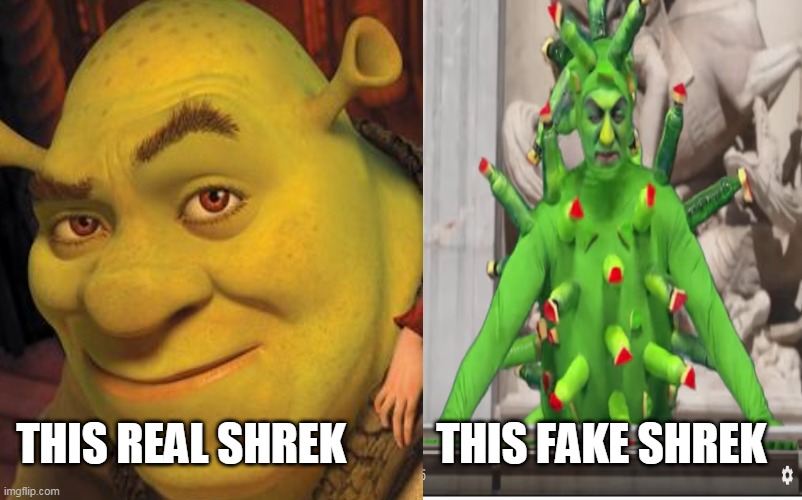 who is the best shrek? real shrek or fake shrek | THIS FAKE SHREK; THIS REAL SHREK | image tagged in shrek | made w/ Imgflip meme maker