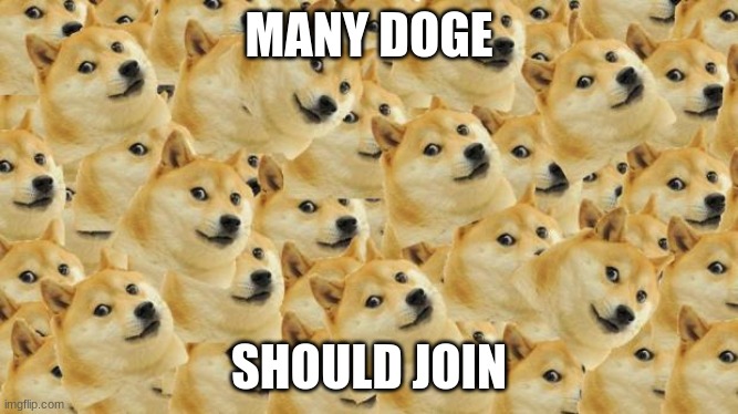 Multi Doge Meme | MANY DOGE SHOULD JOIN | image tagged in memes,multi doge | made w/ Imgflip meme maker