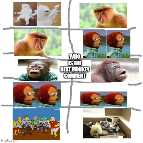 who is the best monkey? put in the comments | WHO IS THE BEST MONKEY COMMENT | image tagged in memes,blank transparent square | made w/ Imgflip meme maker