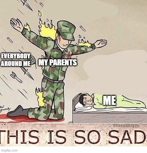 please respect your parents | EVERYBODY AROUND ME; MY PARENTS; ME | image tagged in soldier protecting sleeping child | made w/ Imgflip meme maker