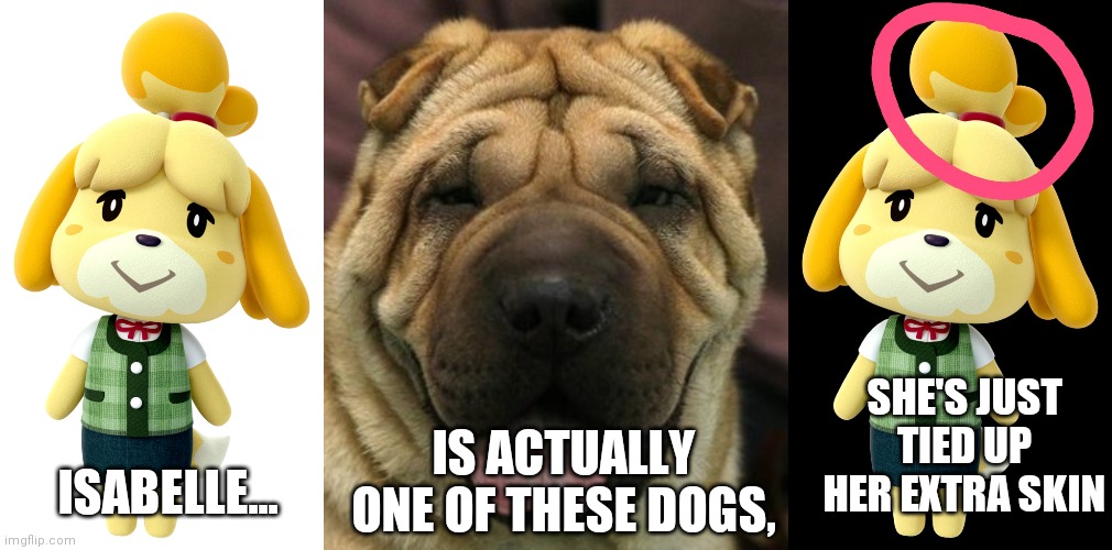 Animal Crossing theory | SHE'S JUST TIED UP HER EXTRA SKIN; IS ACTUALLY ONE OF THESE DOGS, ISABELLE... | image tagged in memes,animal crossing,dogs,new horizons,acnh | made w/ Imgflip meme maker