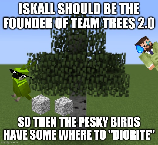 iskalls nightmare | ISKALL SHOULD BE THE FOUNDER OF TEAM TREES 2.0; SO THEN THE PESKY BIRDS HAVE SOME WHERE TO "DIORITE" | image tagged in minecraft | made w/ Imgflip meme maker