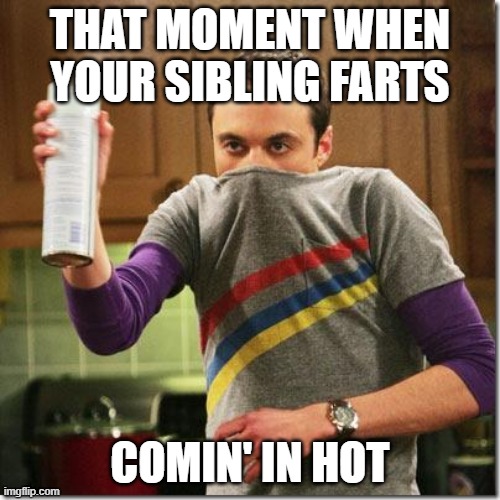 air freshener sheldon cooper | THAT MOMENT WHEN YOUR SIBLING FARTS; COMIN' IN HOT | image tagged in air freshener sheldon cooper | made w/ Imgflip meme maker