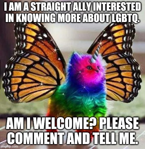 Rainbow unicorn butterfly kitten | I AM A STRAIGHT ALLY INTERESTED IN KNOWING MORE ABOUT LGBTQ. AM I WELCOME? PLEASE COMMENT AND TELL ME. | image tagged in rainbow unicorn butterfly kitten | made w/ Imgflip meme maker