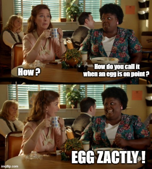 How do you call it when an egg is on point ? How ? EGG ZACTLY ! | image tagged in young sheldon,funny,lol | made w/ Imgflip meme maker