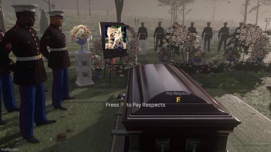 Press F to Pay Respects | image tagged in press f to pay respects | made w/ Imgflip meme maker