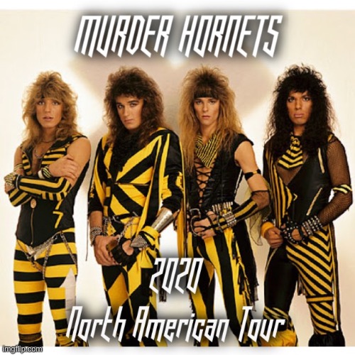 Murder Hornets 2020 Tour | image tagged in murder hornet,heavy metal,rock and roll,murder hornets | made w/ Imgflip meme maker