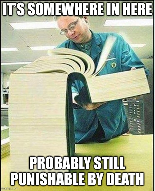 big book | IT’S SOMEWHERE IN HERE PROBABLY STILL PUNISHABLE BY DEATH | image tagged in big book | made w/ Imgflip meme maker