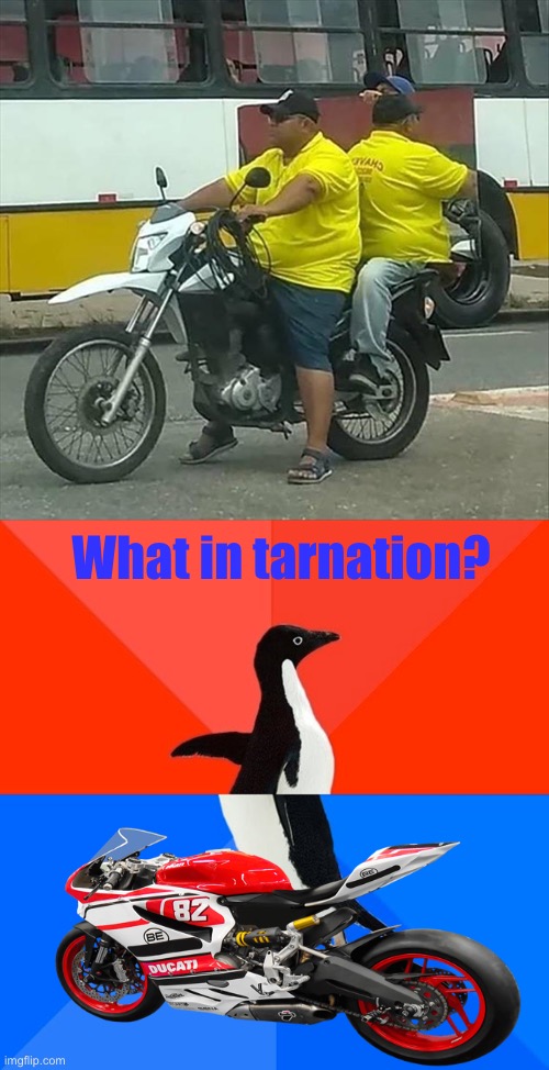 Mirror, mirror on the bike. | What in tarnation? | image tagged in memes,socially awesome awkward penguin,motorcycle,mirror,funny | made w/ Imgflip meme maker
